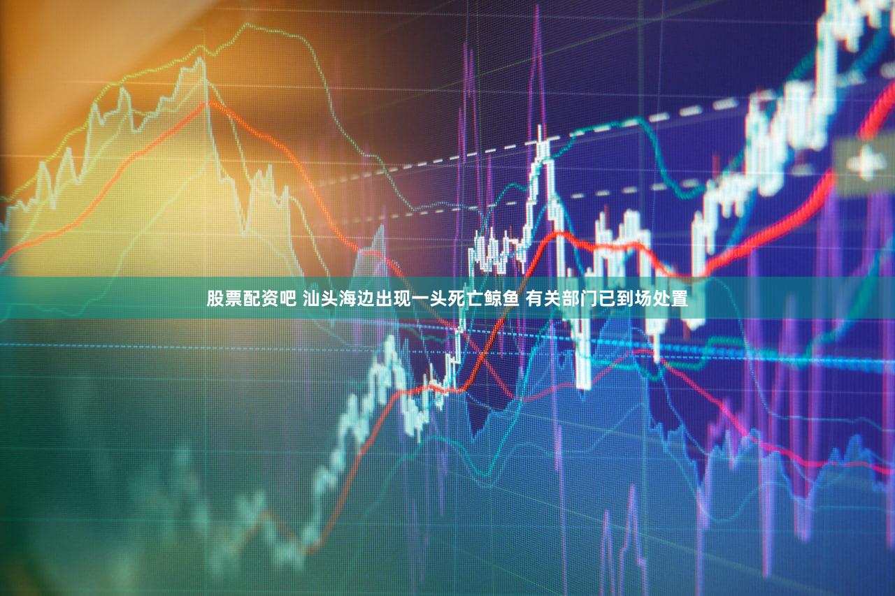 股票配资吧 汕头海边出现一头死亡鲸鱼 有关部门已到场处置