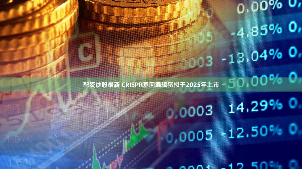 配资炒股最新 CRISPR基因编辑猪拟于2025年上市