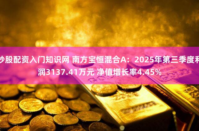 炒股配资入门知识网 南方宝恒混合A:2025年第三季度利润3137.41万元 净值增长率4.45%