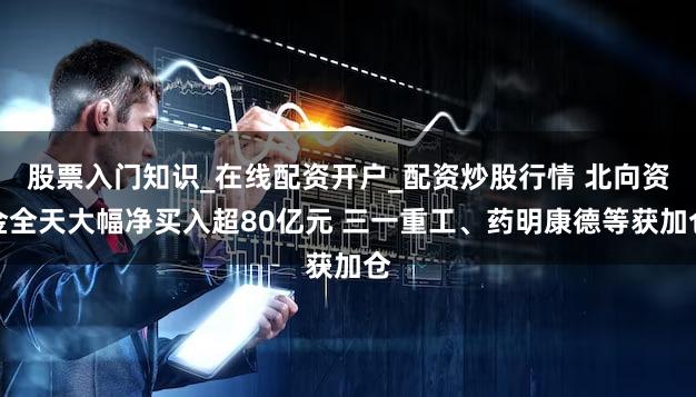 股票入门知识_在线配资开户_配资炒股行情 北向资金全天大幅净买入超80亿元 三一重工、药明康德等获加仓