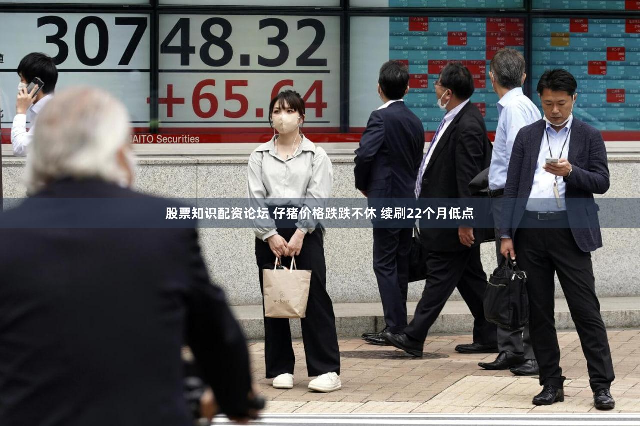 股票知识配资论坛 仔猪价格跌跌不休 续刷22个月低点