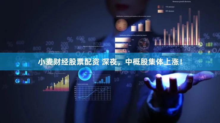 小麦财经股票配资 深夜，中概股集体上涨！