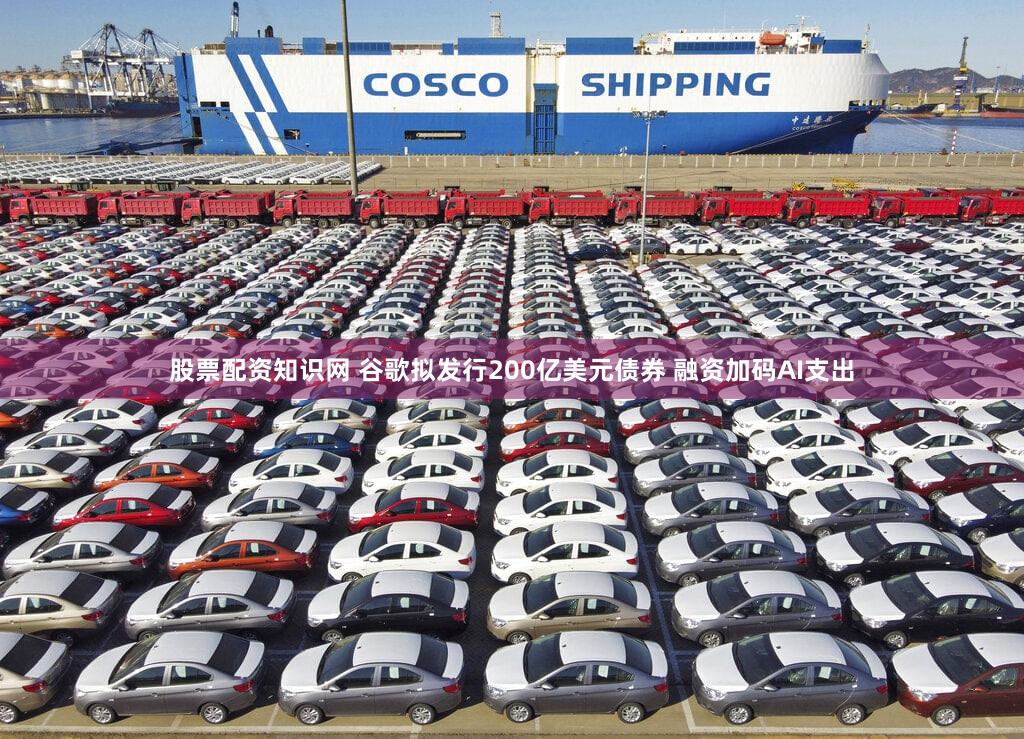 股票配资知识网 谷歌拟发行200亿美元债券 融资加码AI支出