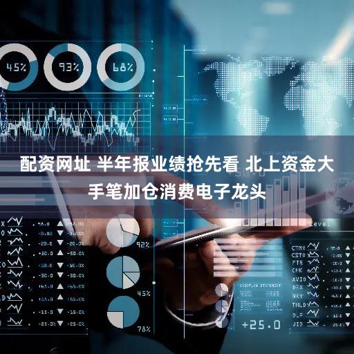 配资网址 半年报业绩抢先看 北上资金大手笔加仓消费电子龙头