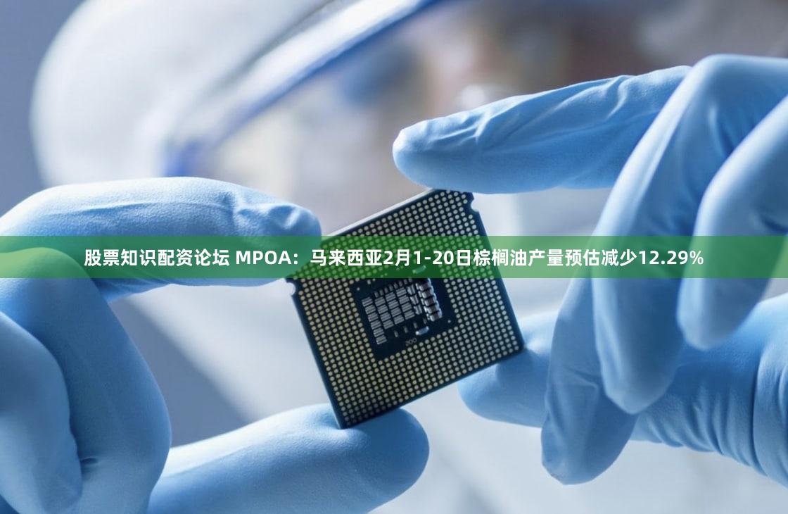 股票知识配资论坛 MPOA：马来西亚2月1-20日棕榈油产量预估减少12.29%