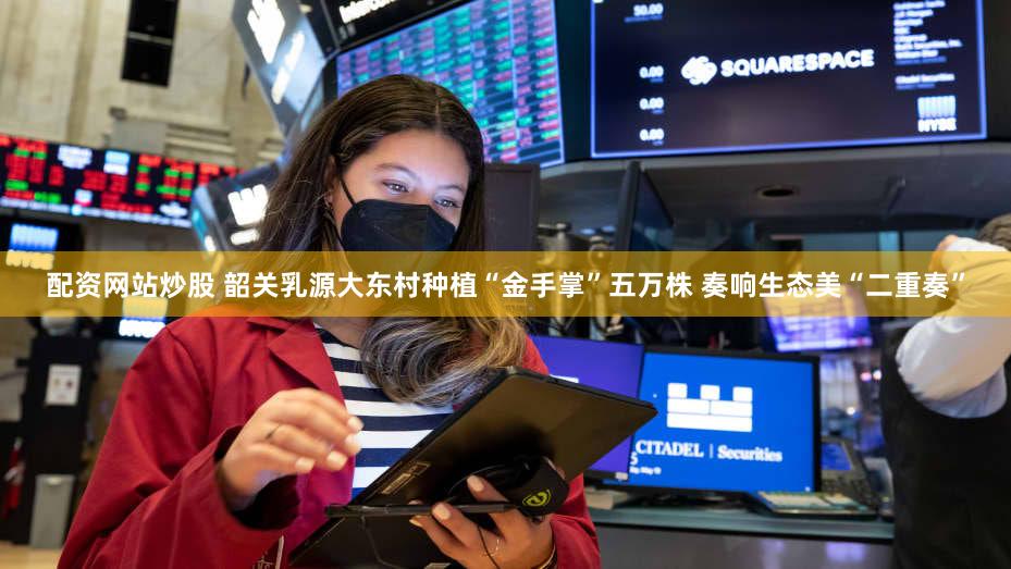 配资网站炒股 韶关乳源大东村种植“金手掌”五万株 奏响生态美“二重奏”