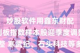 炒股软件用鑫东财配资 科创板指数样本股迎季度调整 寒武纪、石头科技等多股竞价异动