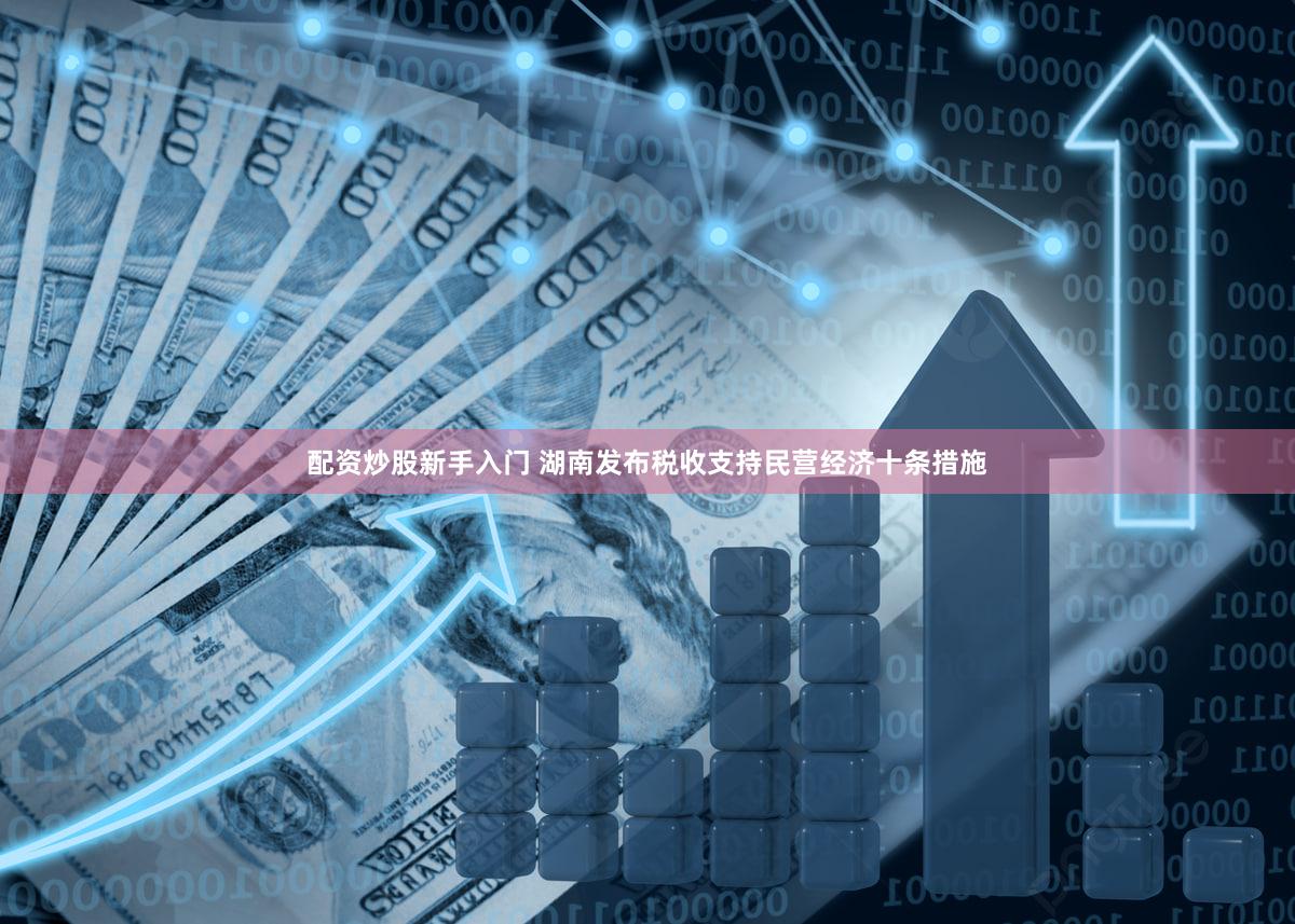 配资炒股新手入门 湖南发布税收支持民营经济十条措施