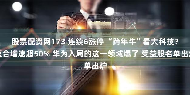 股票配资网173 连续6涨停 “跨年牛”看大科技？复合增速超50% 华为入局的这一领域爆了 受益股名单出炉